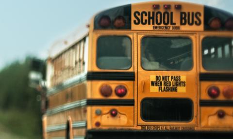 bus